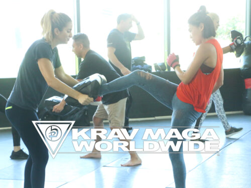 Learn the most powerful groin kick for self-defense. | Krav Maga - L.A.