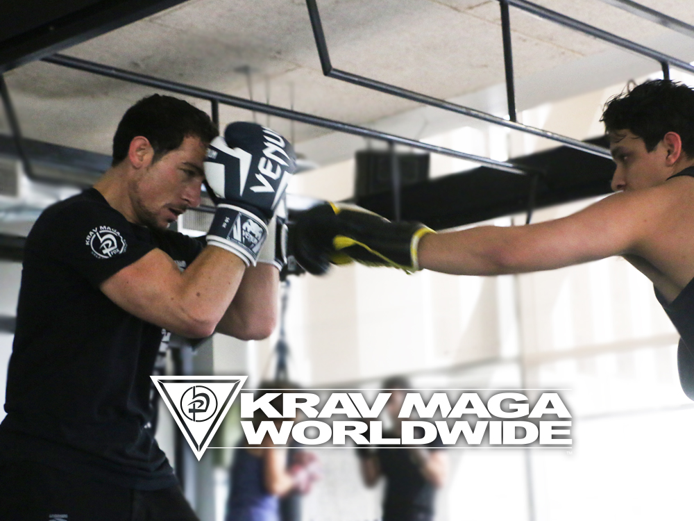 Krav Maga fight training