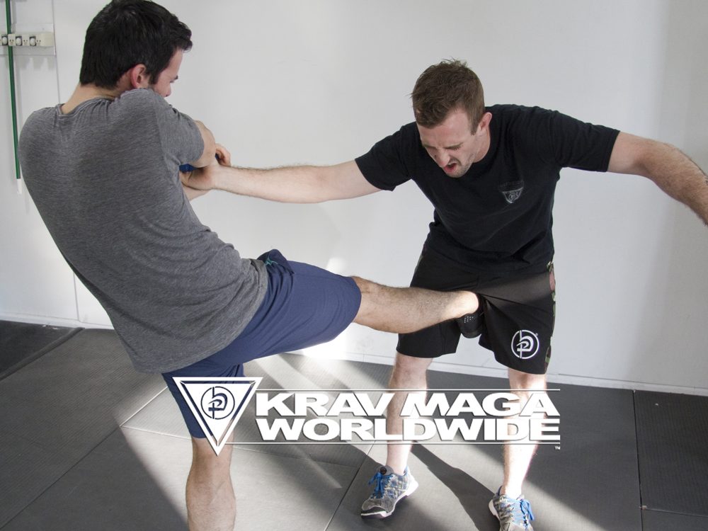Krav Maga front kick to the groin is one of the best Krav Maga moves.